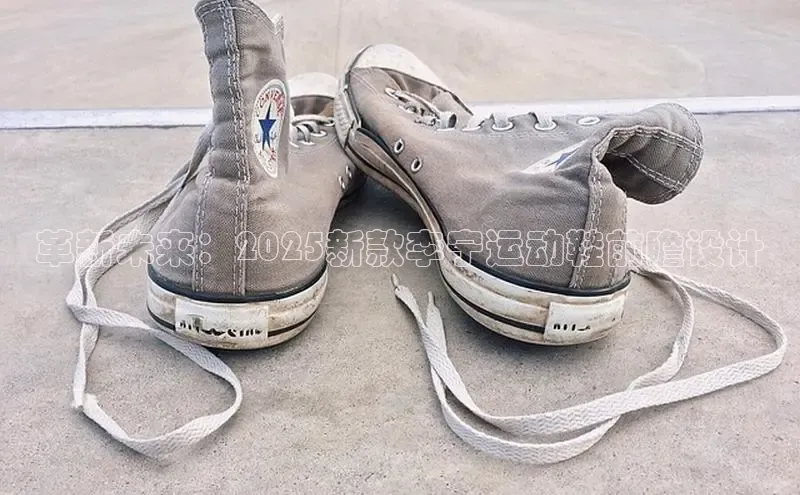 革新未来：2025新款李宁运动鞋前瞻设计